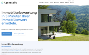 immobilienbewertung online